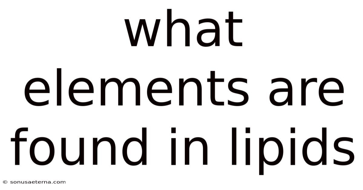 What Elements Are Found In Lipids