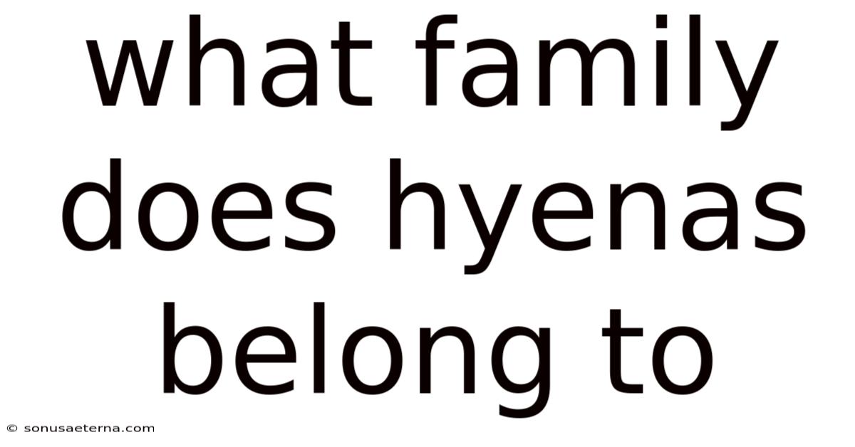 What Family Does Hyenas Belong To