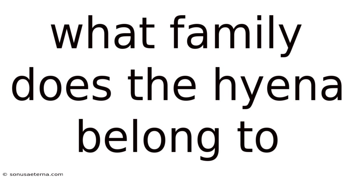 What Family Does The Hyena Belong To