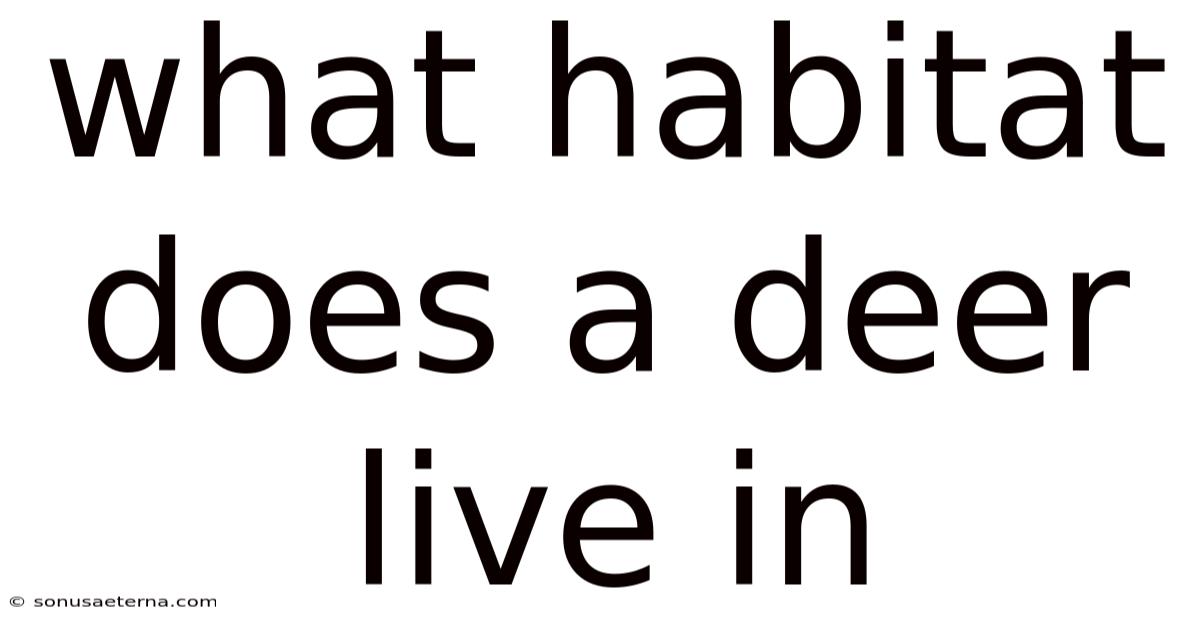 What Habitat Does A Deer Live In