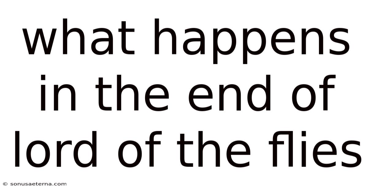 What Happens In The End Of Lord Of The Flies