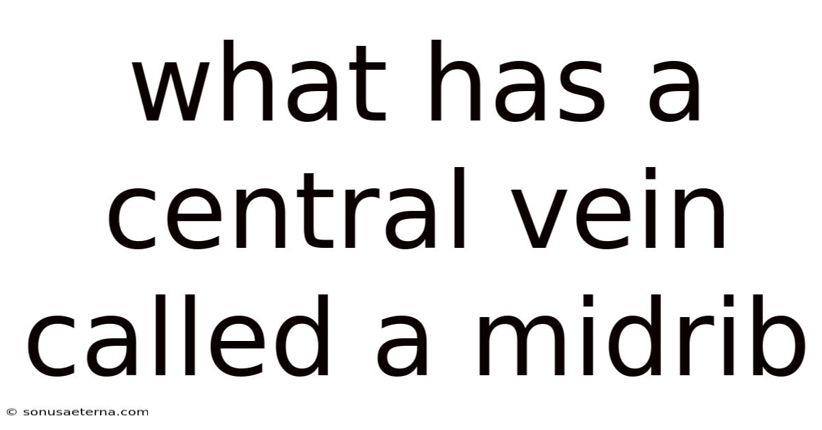 What Has A Central Vein Called A Midrib