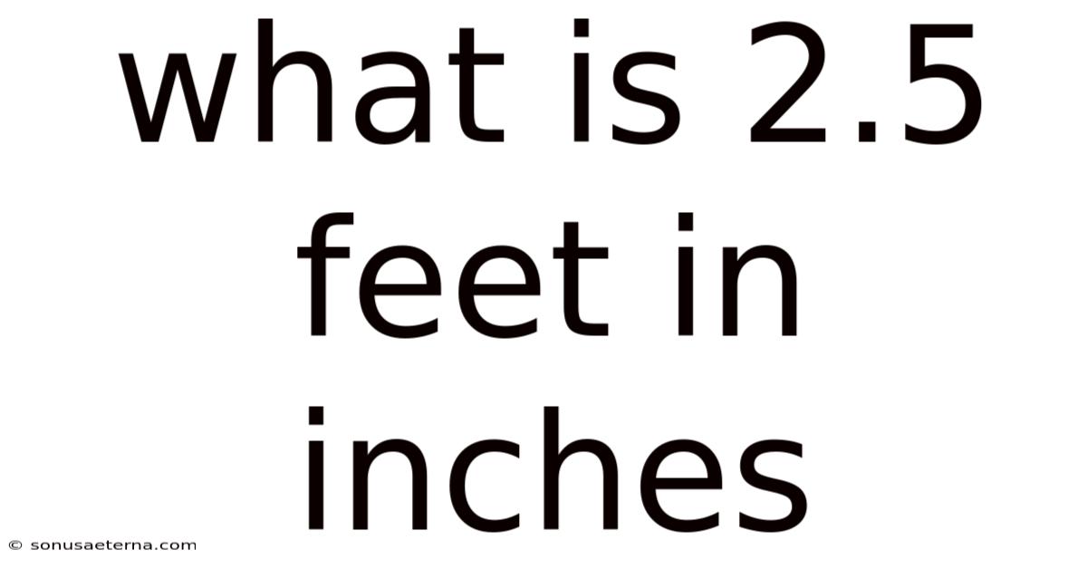 What Is 2.5 Feet In Inches