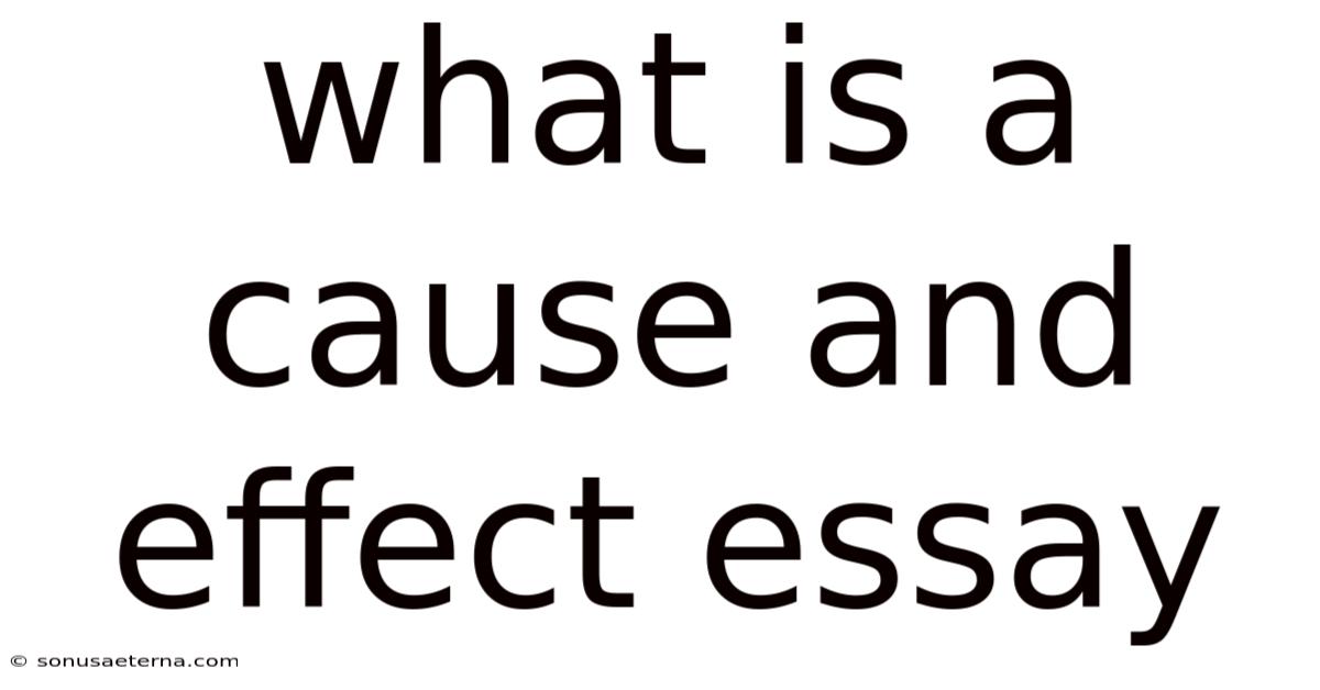 What Is A Cause And Effect Essay