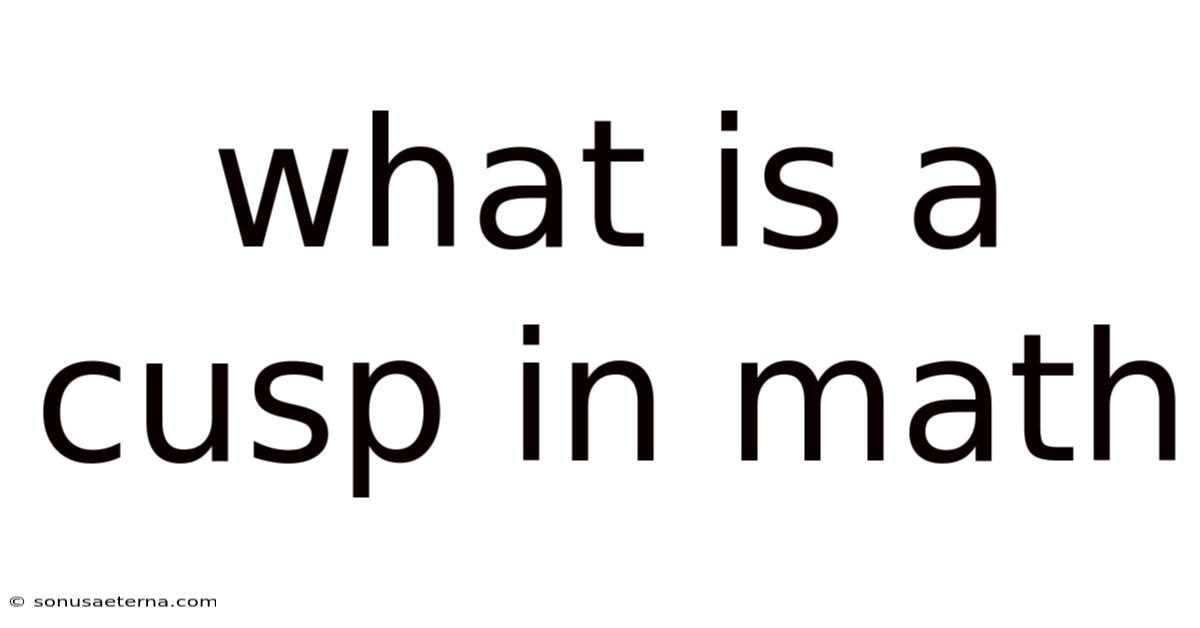 What Is A Cusp In Math