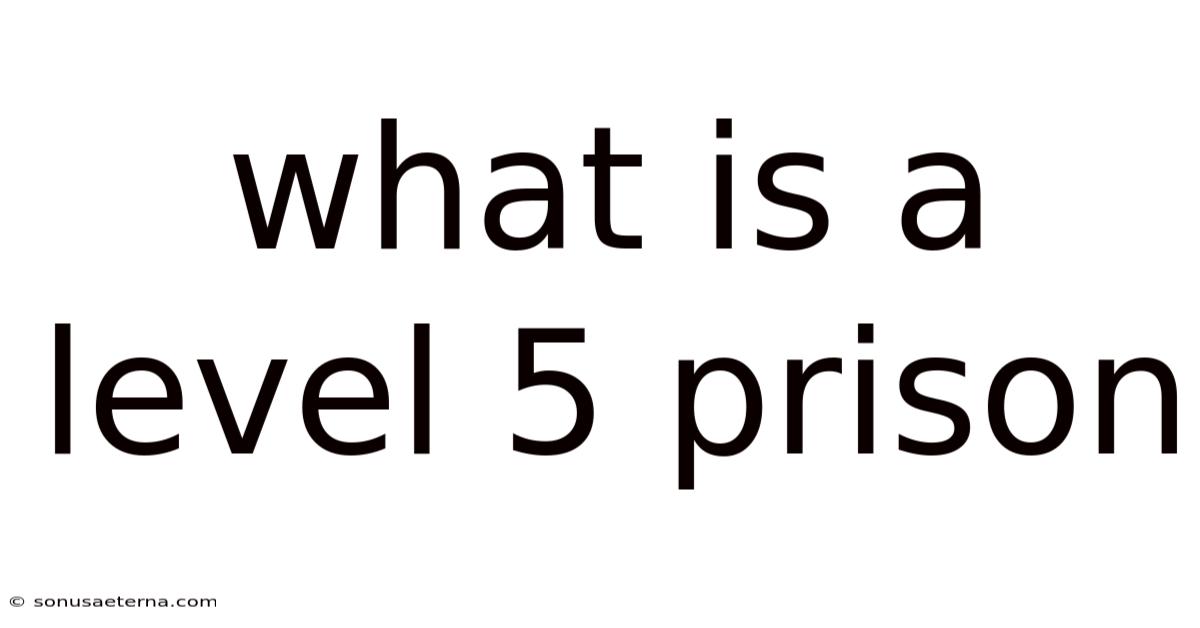 What Is A Level 5 Prison
