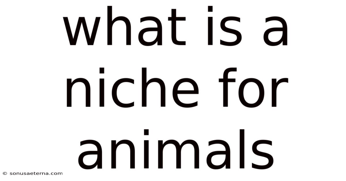 What Is A Niche For Animals