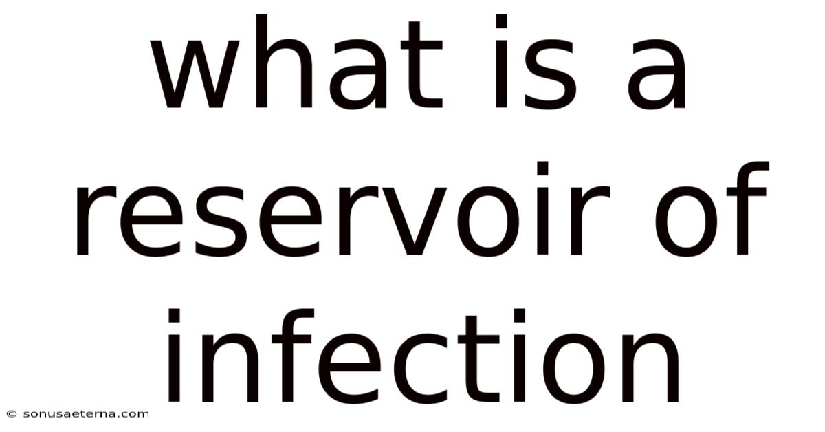 What Is A Reservoir Of Infection