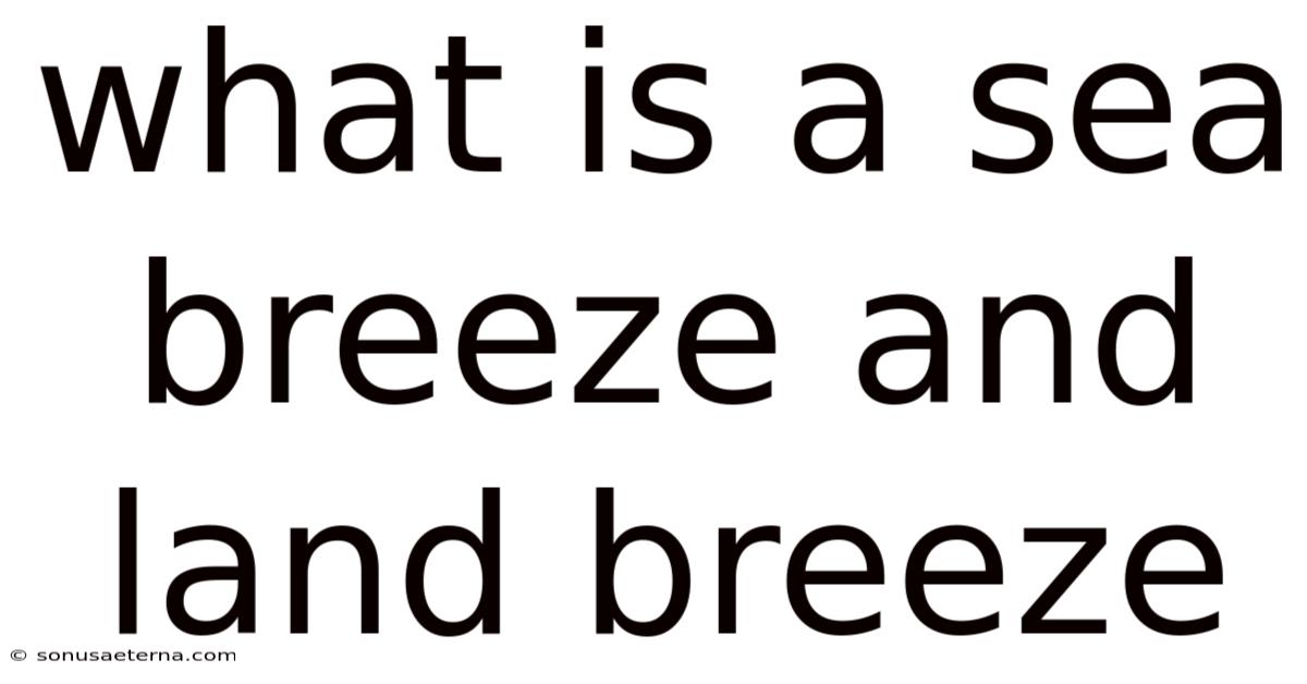 What Is A Sea Breeze And Land Breeze