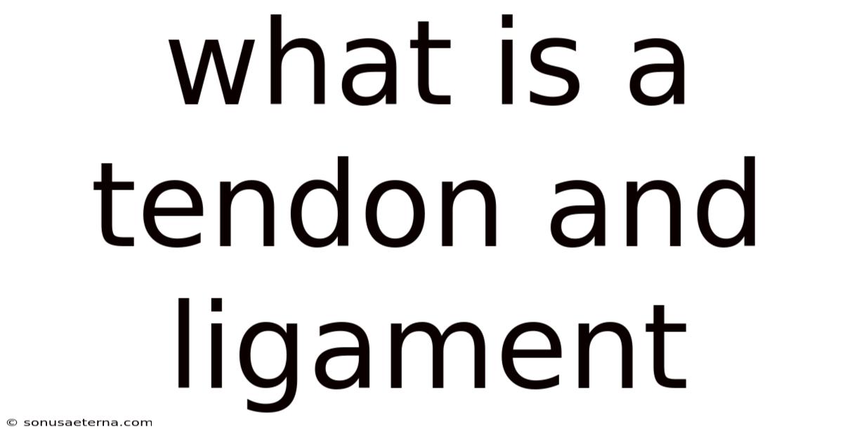 What Is A Tendon And Ligament