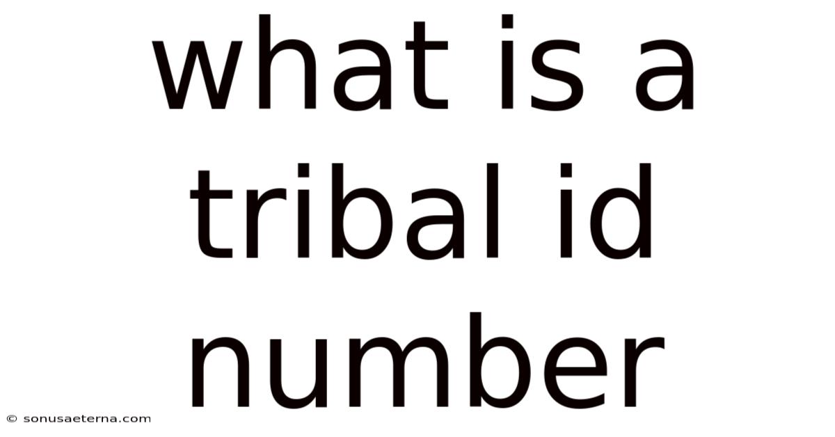 What Is A Tribal Id Number