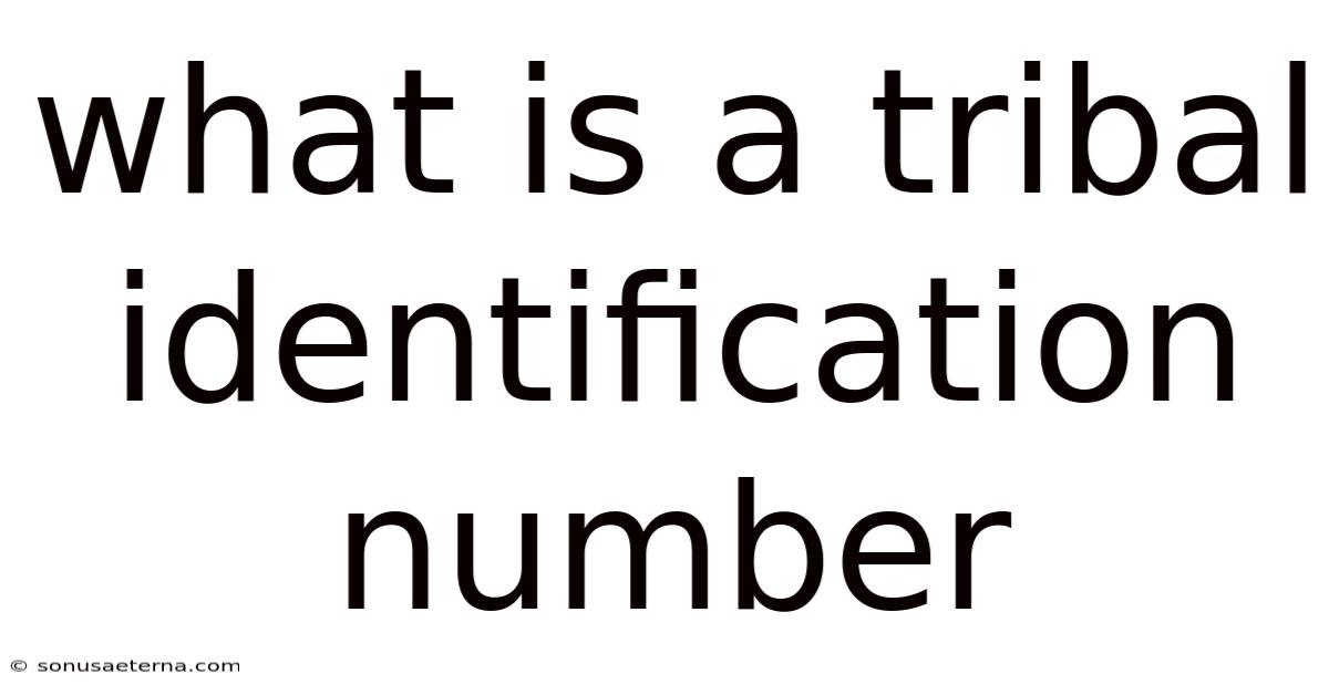 What Is A Tribal Identification Number