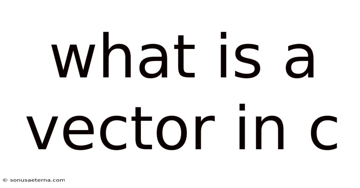 What Is A Vector In C
