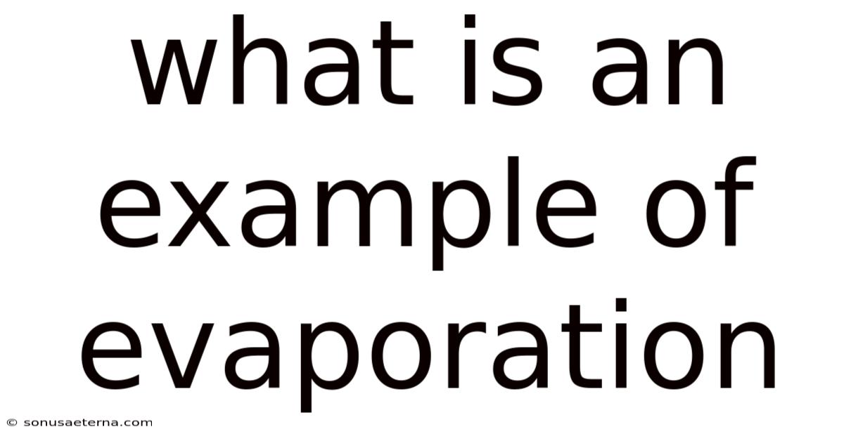 What Is An Example Of Evaporation
