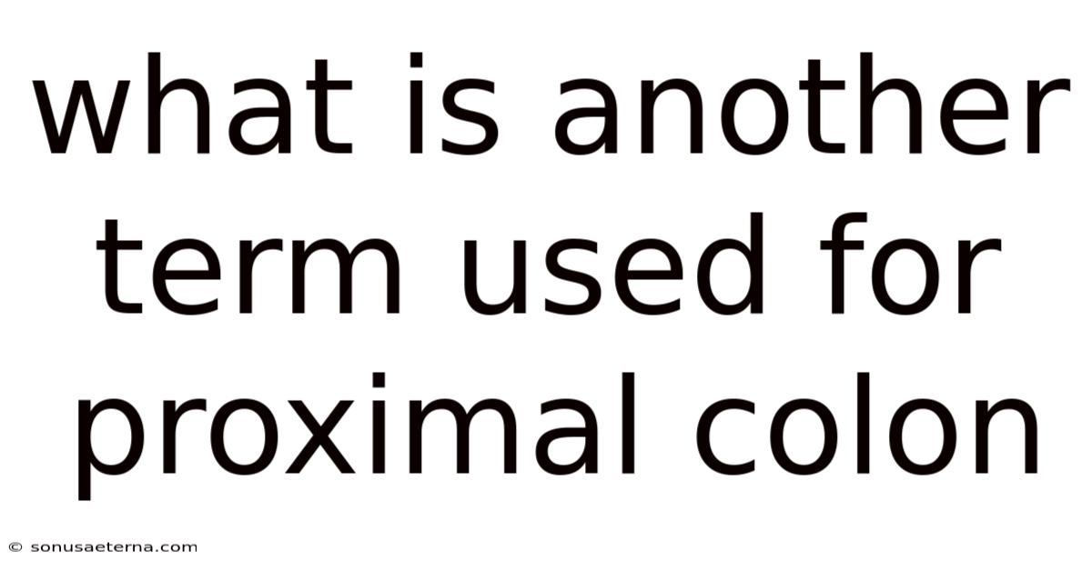 What Is Another Term Used For Proximal Colon