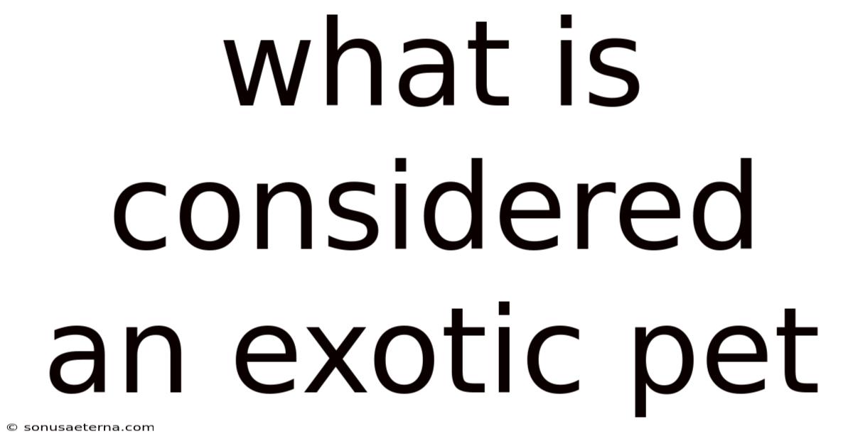 What Is Considered An Exotic Pet