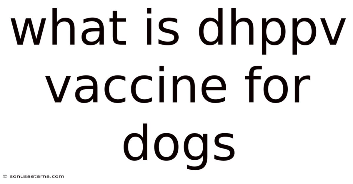 What Is Dhppv Vaccine For Dogs