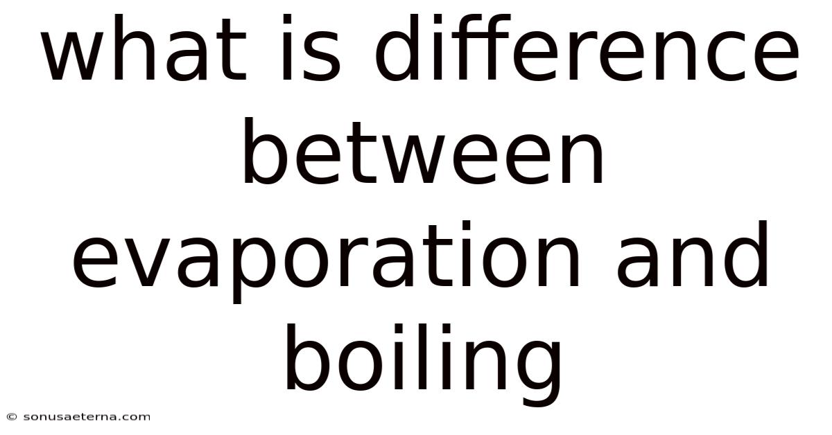 What Is Difference Between Evaporation And Boiling