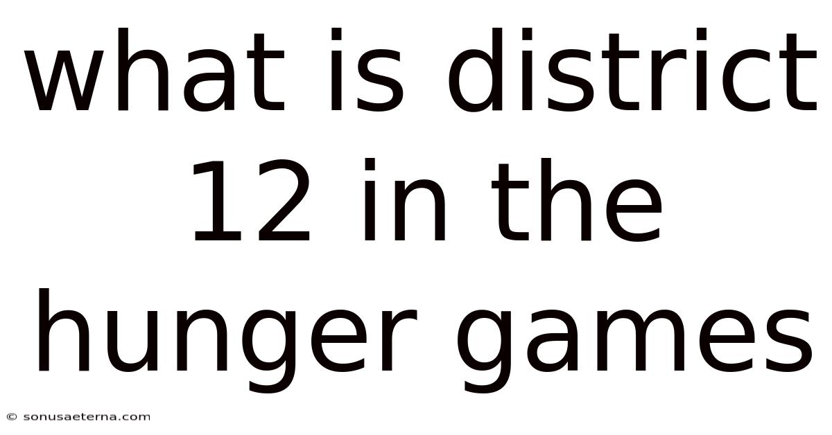 What Is District 12 In The Hunger Games