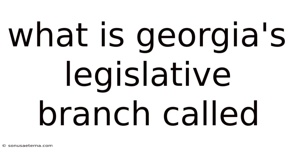 What Is Georgia's Legislative Branch Called