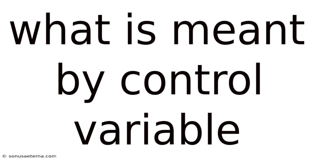 What Is Meant By Control Variable