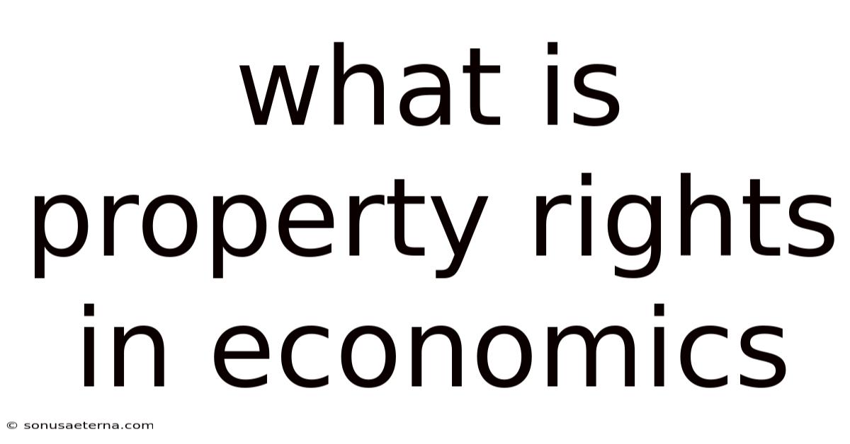 What Is Property Rights In Economics