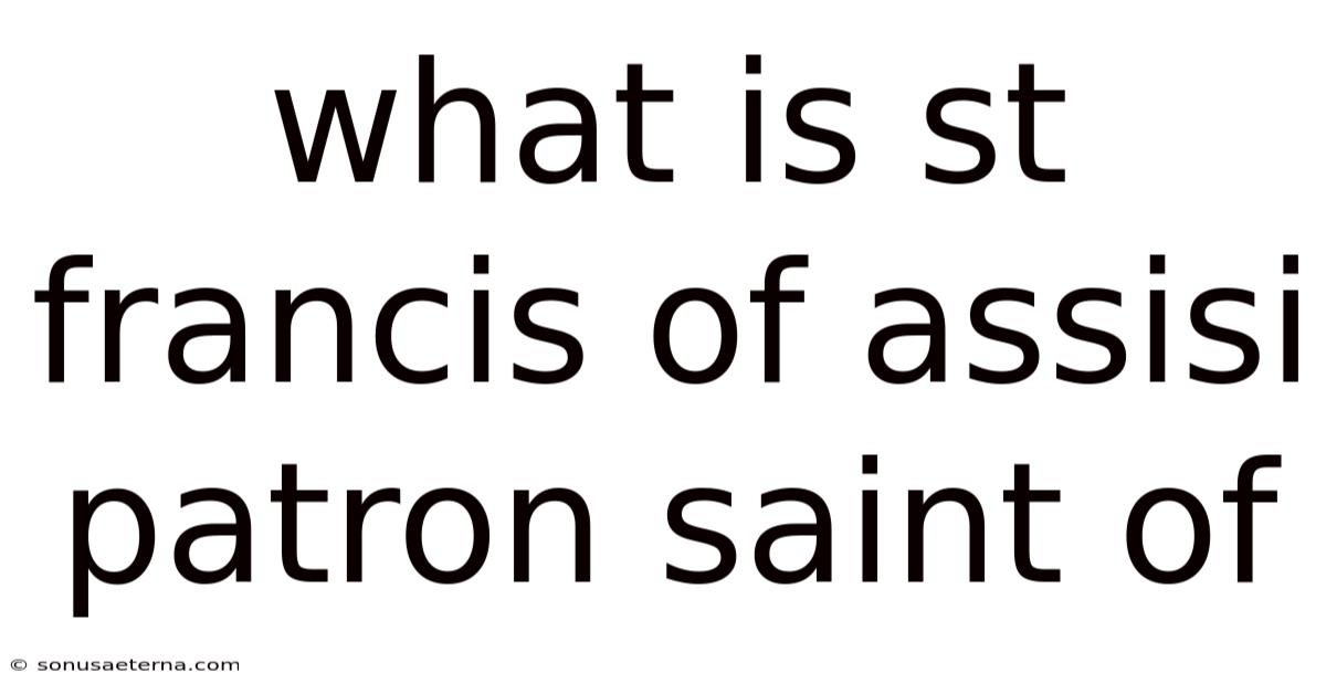 What Is St Francis Of Assisi Patron Saint Of