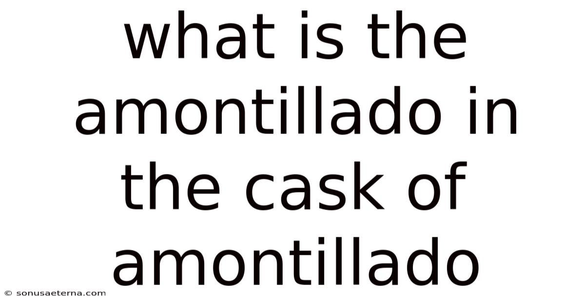 What Is The Amontillado In The Cask Of Amontillado