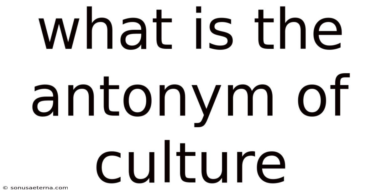 What Is The Antonym Of Culture