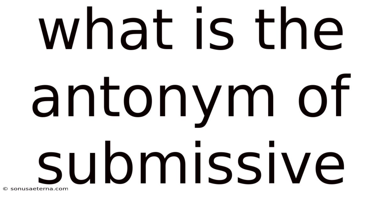 What Is The Antonym Of Submissive