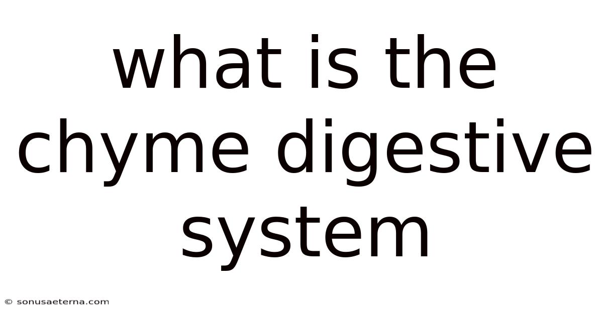 What Is The Chyme Digestive System