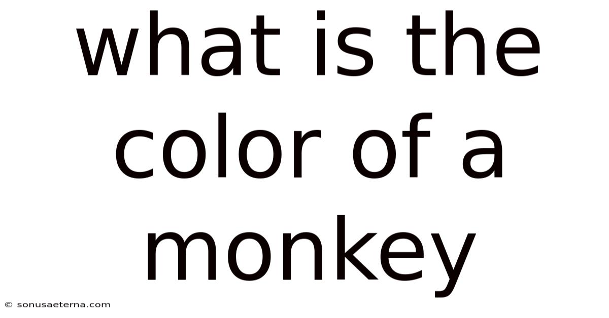 What Is The Color Of A Monkey