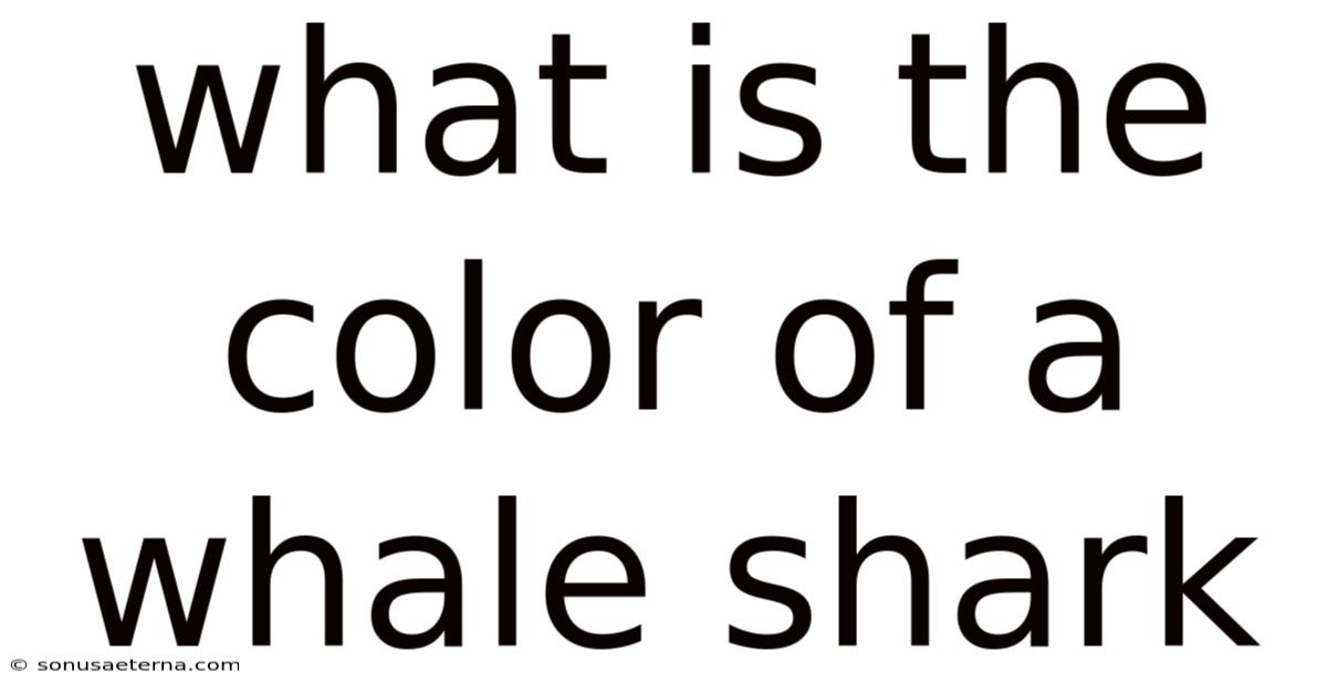 What Is The Color Of A Whale Shark