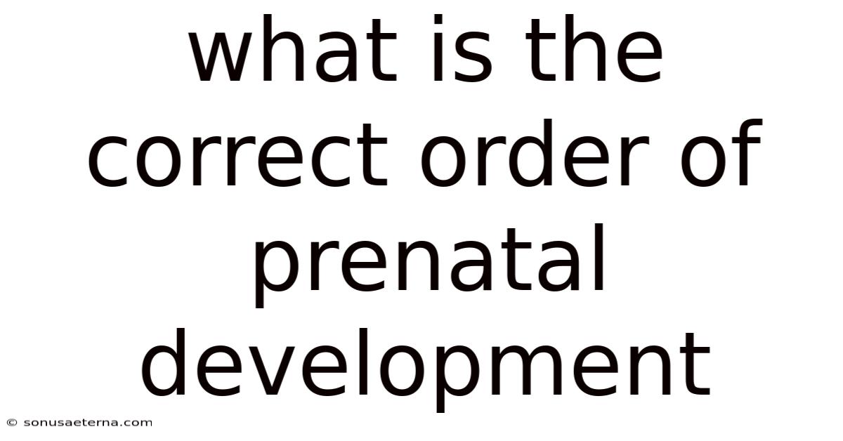 What Is The Correct Order Of Prenatal Development