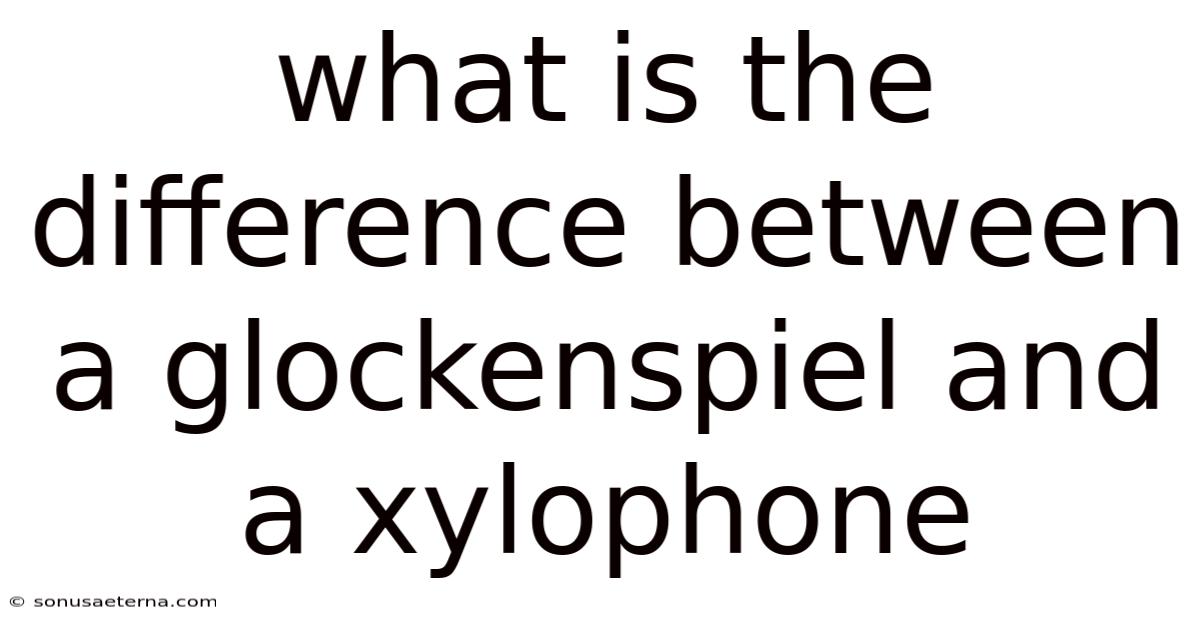 What Is The Difference Between A Glockenspiel And A Xylophone