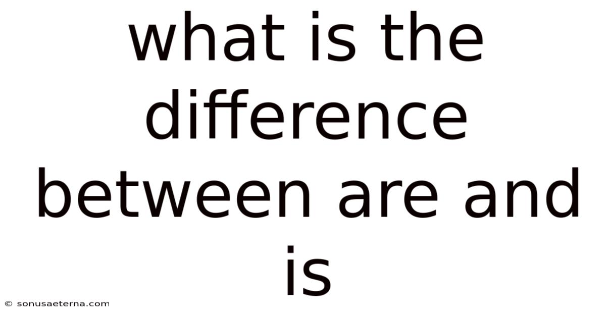 What Is The Difference Between Are And Is