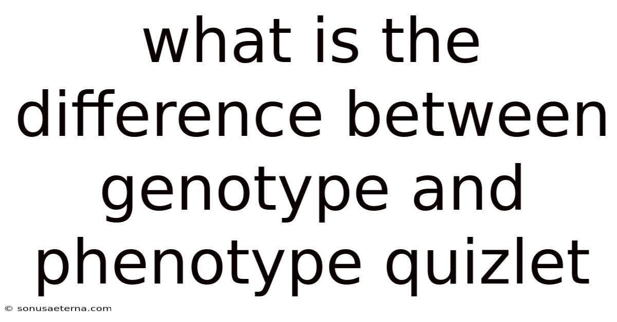What Is The Difference Between Genotype And Phenotype Quizlet