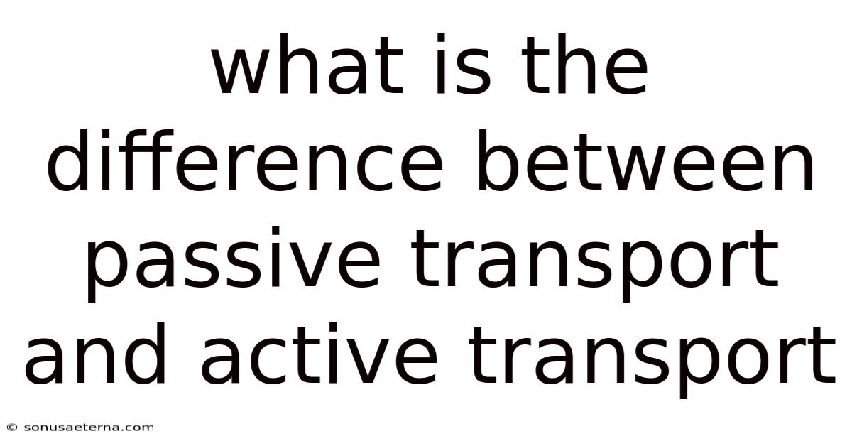 What Is The Difference Between Passive Transport And Active Transport