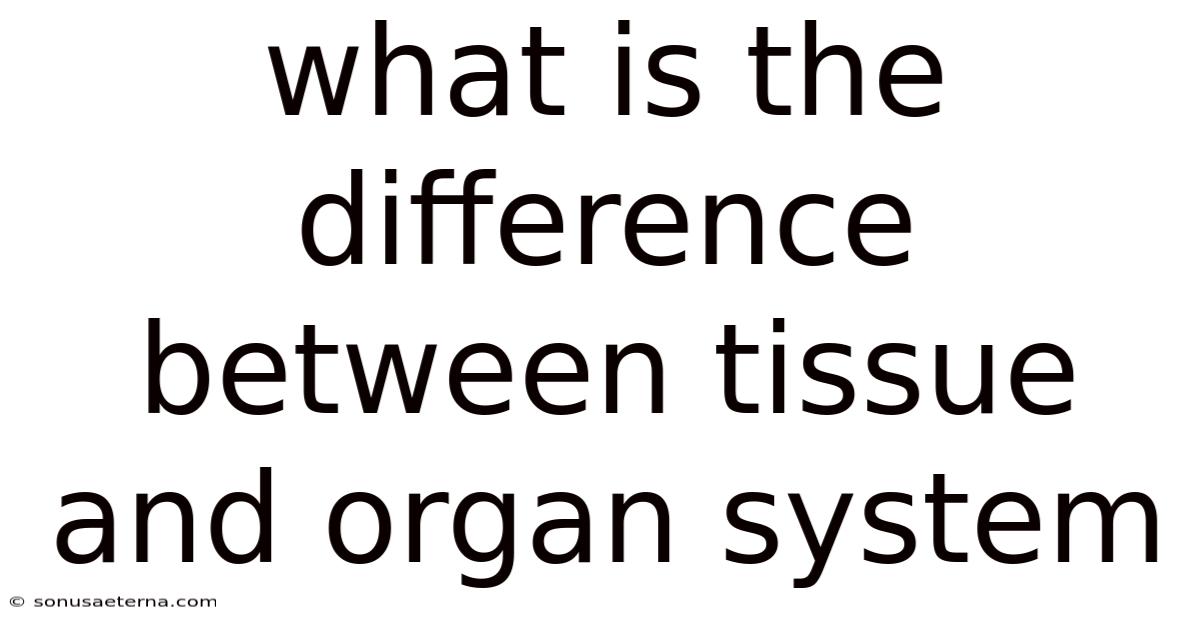 What Is The Difference Between Tissue And Organ System