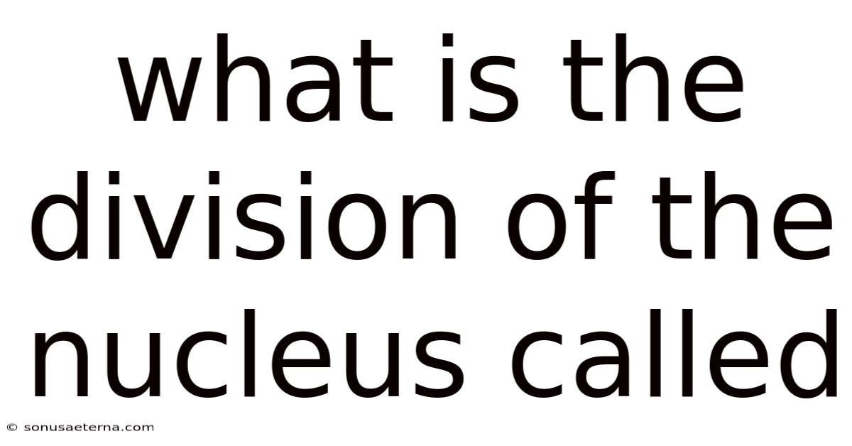 What Is The Division Of The Nucleus Called