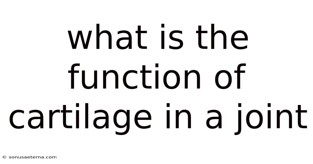 What Is The Function Of Cartilage In A Joint