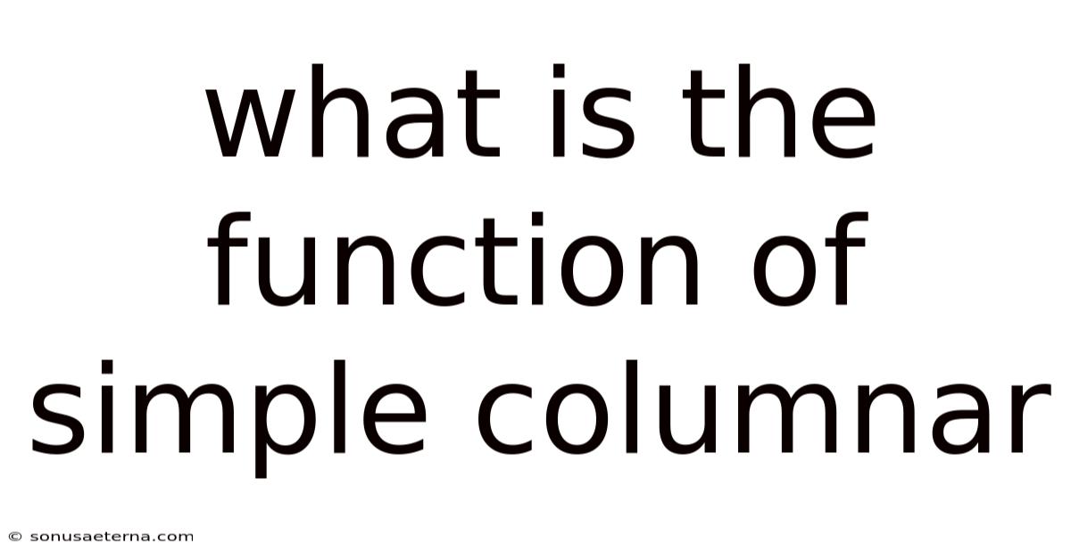 What Is The Function Of Simple Columnar