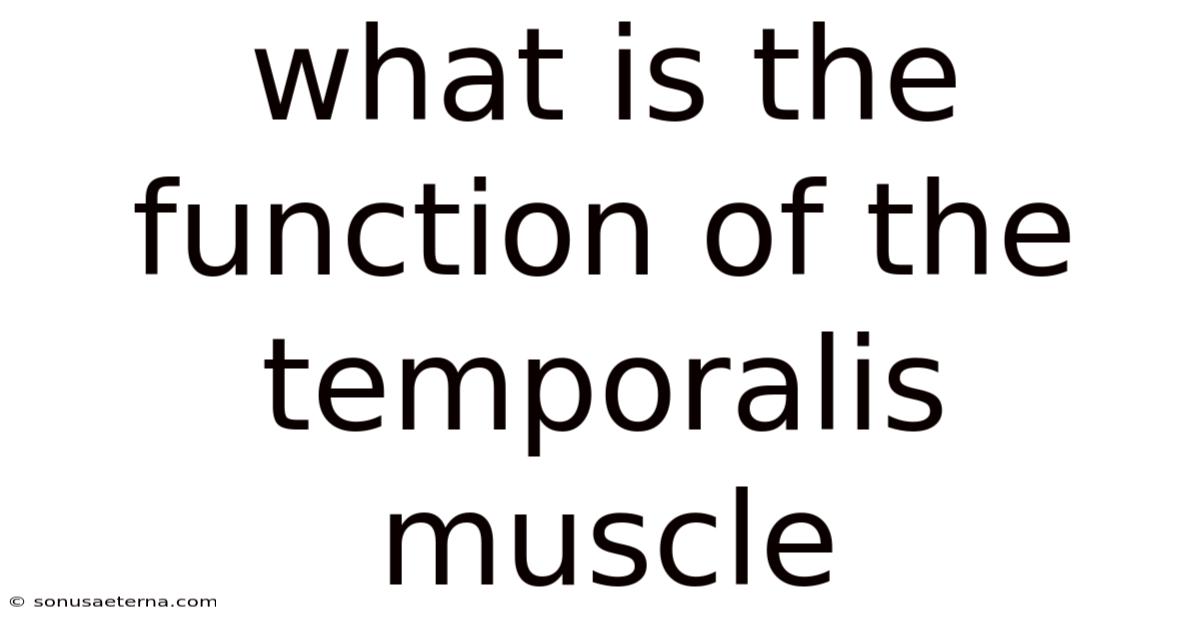 What Is The Function Of The Temporalis Muscle