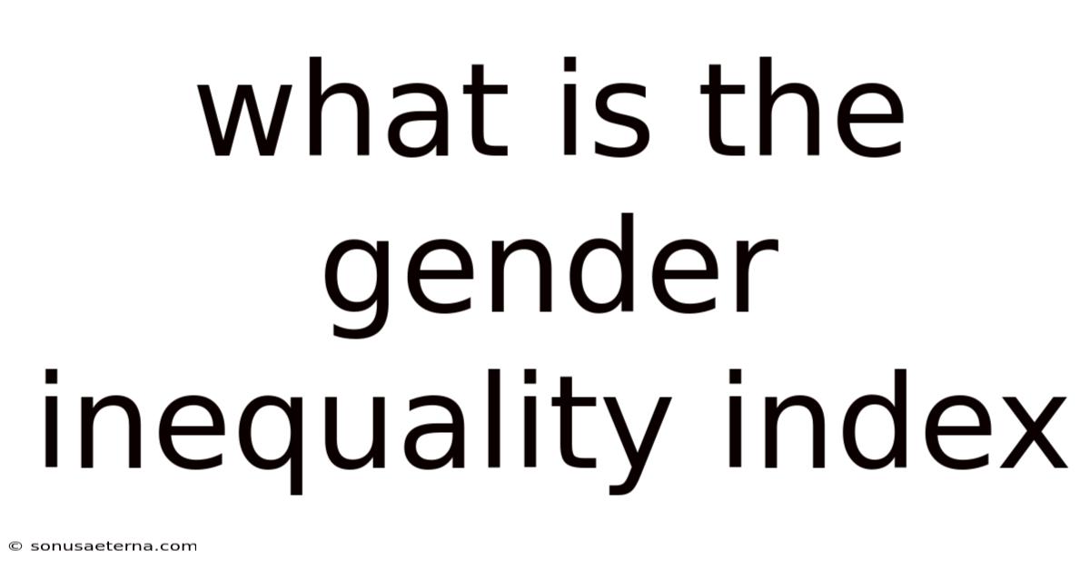 What Is The Gender Inequality Index