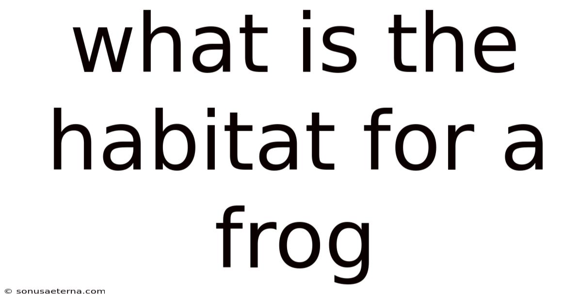 What Is The Habitat For A Frog