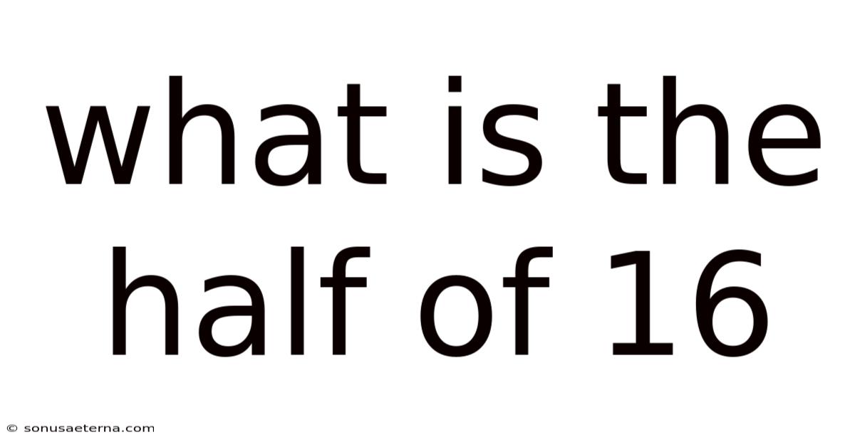 What Is The Half Of 16