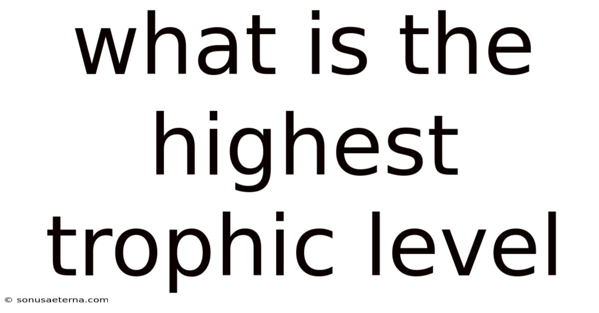 What Is The Highest Trophic Level