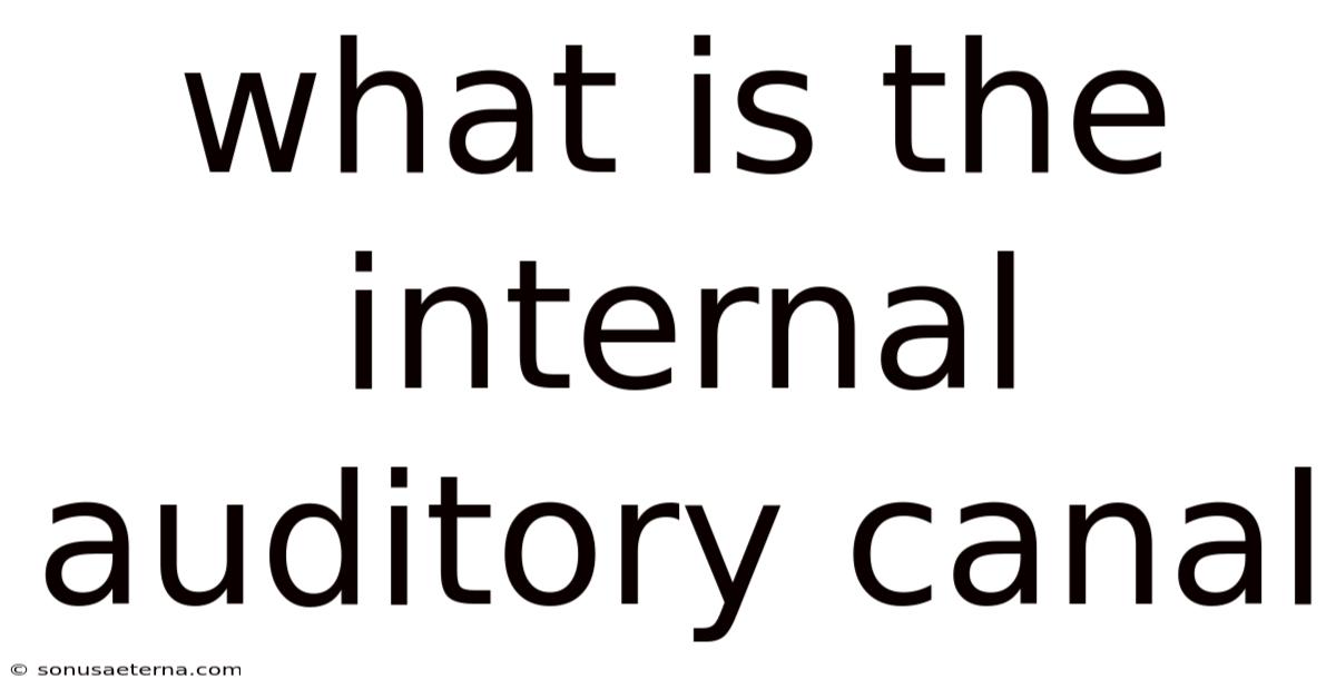 What Is The Internal Auditory Canal