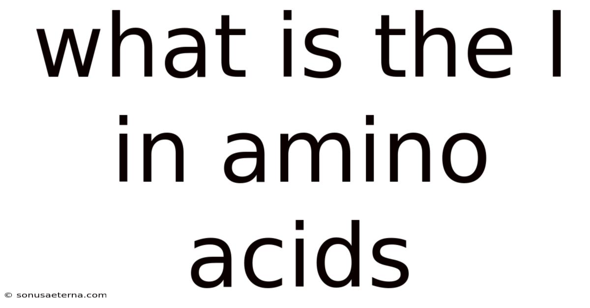What Is The L In Amino Acids