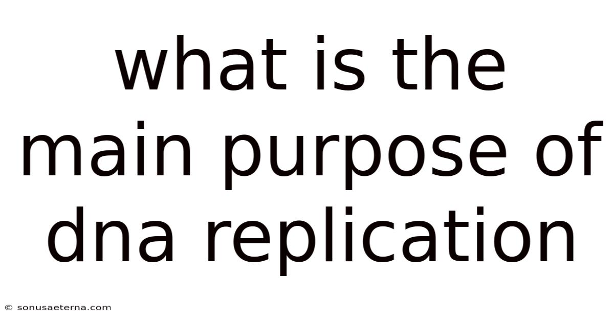 What Is The Main Purpose Of Dna Replication